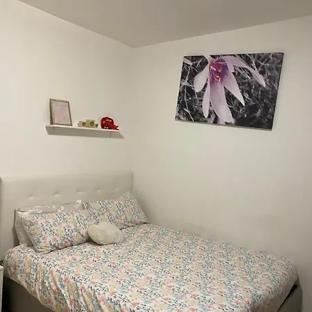 Cuore Di Citta *